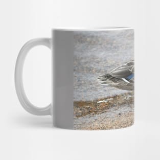 Lakeshore Duck Mug